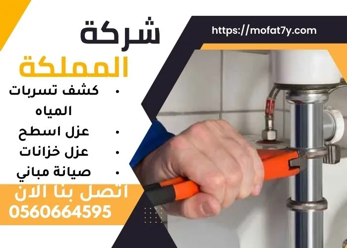 شركة كشف تسربات المياه بابها